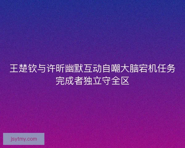 王楚钦与许昕幽默互动自嘲大脑宕机任务完成者独立守全区